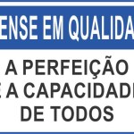 A Perfeição é a Capacidade de Todos - adesivo-15-x-20-cm